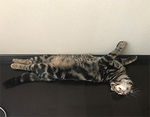 投稿例